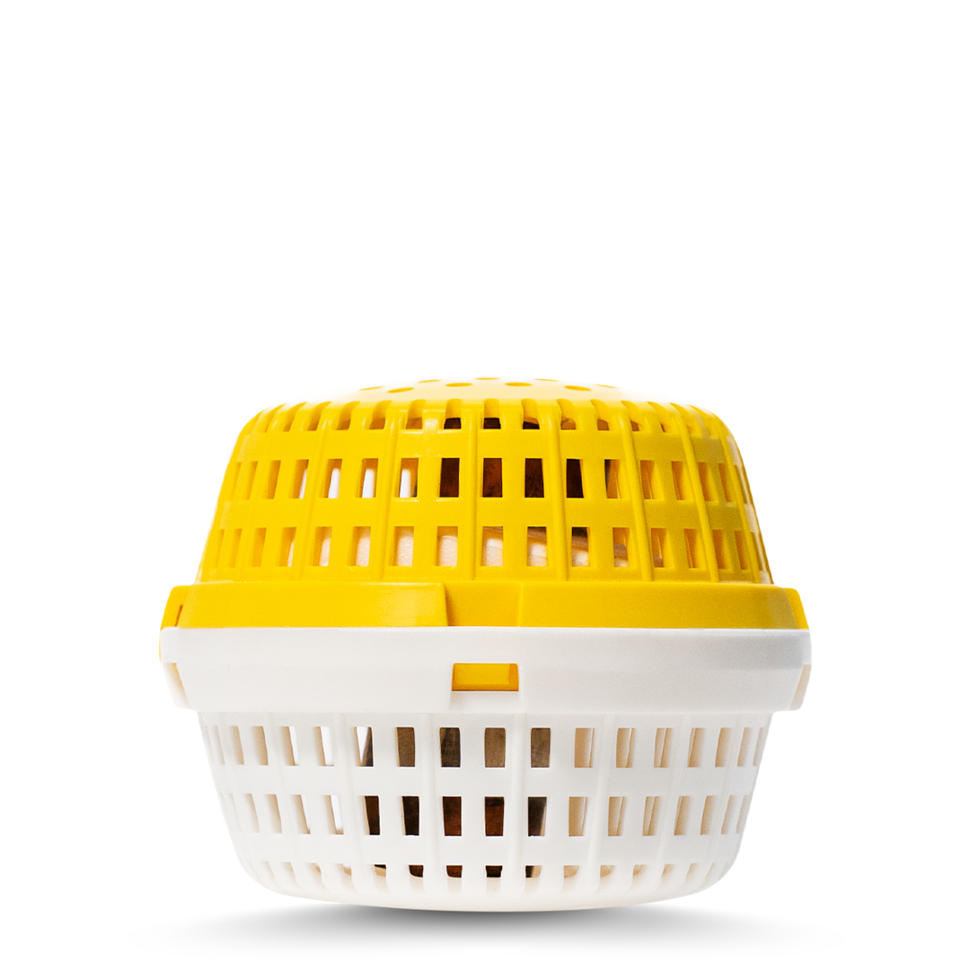 Yellow White Spa